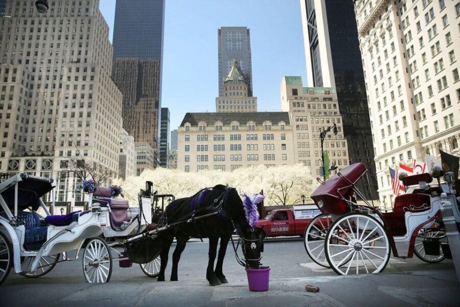 NYC Private Central Park Horse Carriage Ride with Guide - Cherry Hill and Strawberry Fields: Two Stops With Different Moods