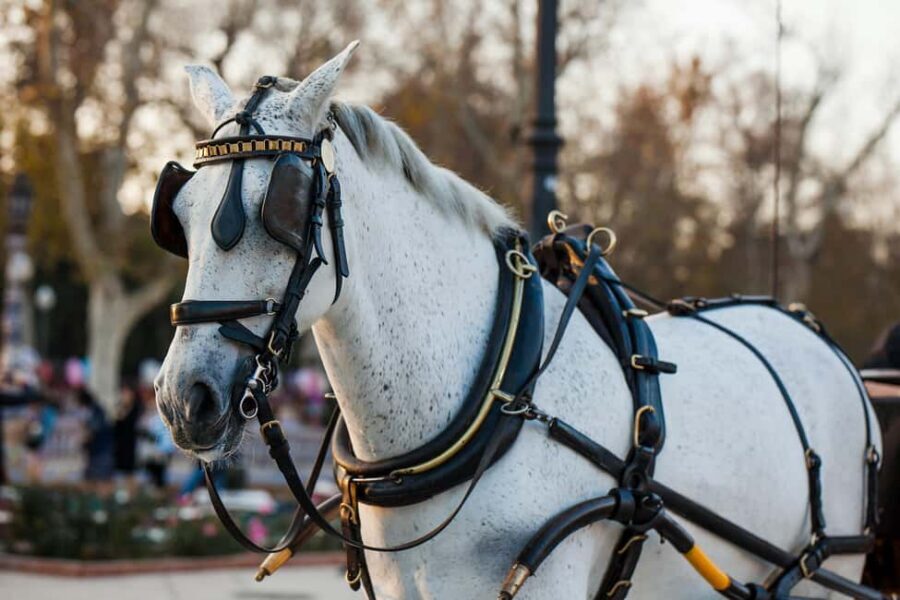 NYC Private Central Park Horse Carriage Ride with Guide - How Long It Takes (and Why “25 to 55 Minutes” Changes Your Day)