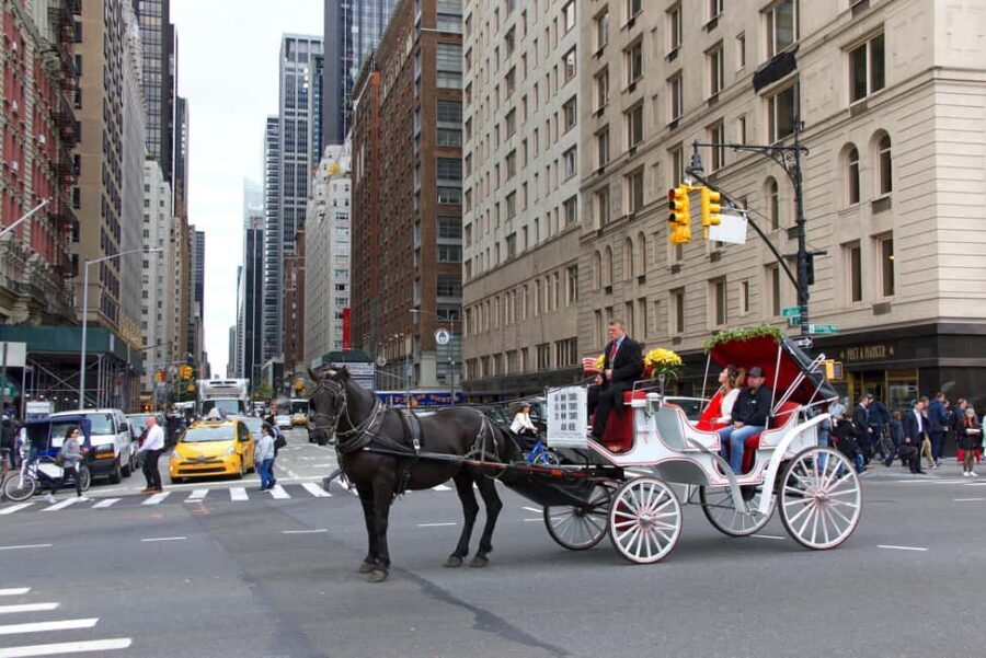 NYC Private Central Park Horse Carriage Ride with Guide - The Guide and Horses: What Makes It Feel Personal