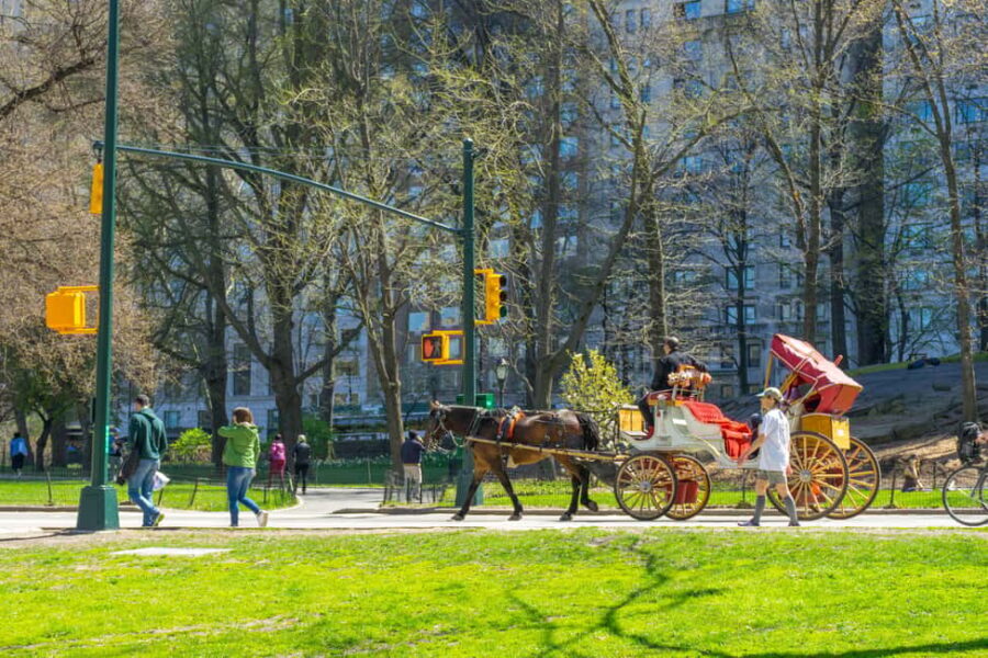 NYC Private Central Park Horse Carriage Ride with Guide - Bethesda Terrace: The Photo Stop That Anchors the Whole Experience