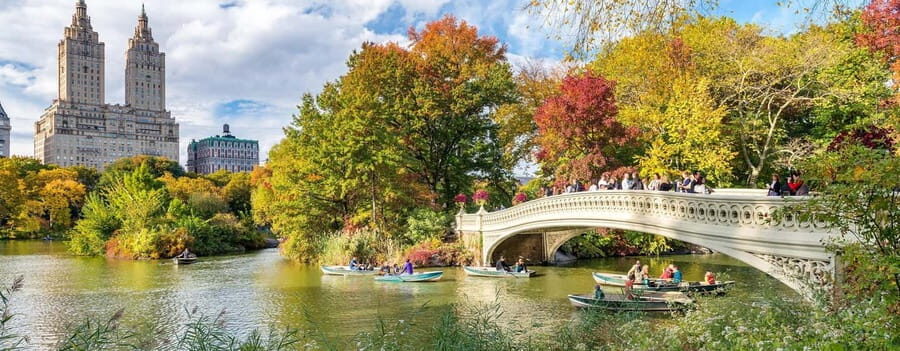 NYC: Private Central Park Tour - Private Central Park Pedicab: What You’re Really Buying for $30