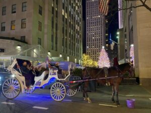 NYC: Private Christmas Lights Horse Carriage Ride - Where You’ll Meet: Central Park South and 7th Avenue