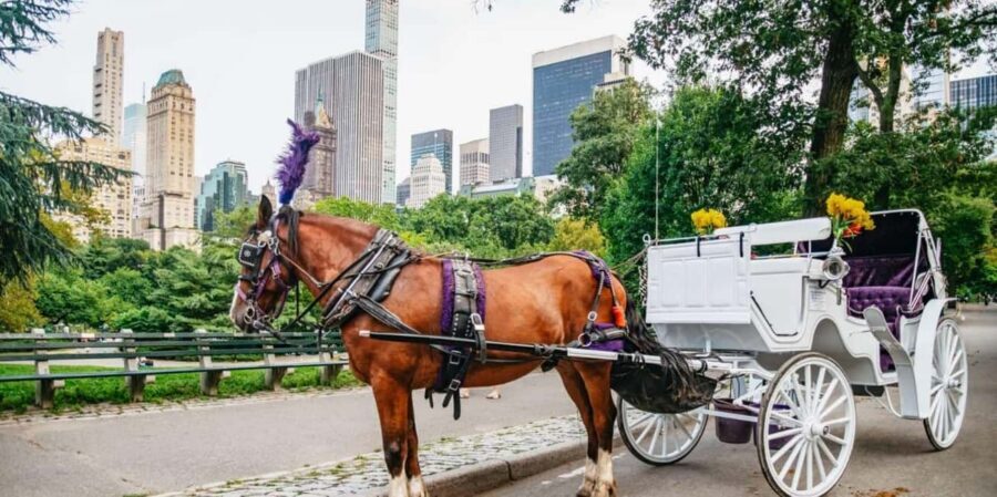 NYC: Private Christmas Lights Horse Carriage Ride - The Holiday Route: Plaza, Saks, Cartier, Tiffany, and St. Patrick’s Cathedral