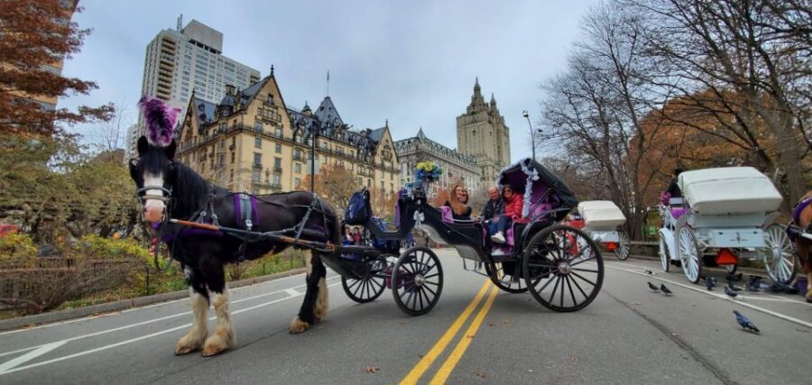 NYC: Private Christmas Lights Horse Carriage Ride - Guides Who Set the Tone: Friendly Narration and Holiday Facts