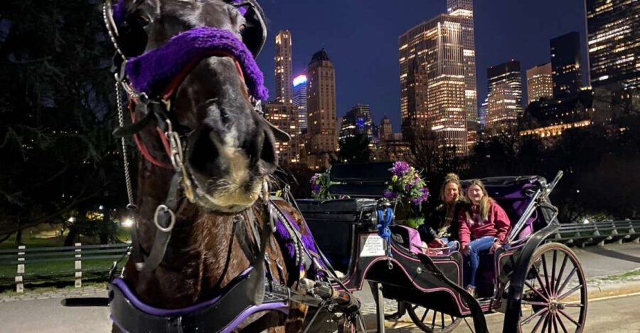 NYC: Private Christmas Lights Horse Carriage Ride - Small Real-World Headaches to Expect