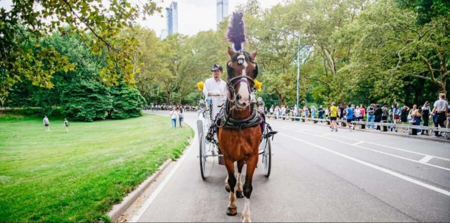 NYC: Private Christmas Lights Horse Carriage Ride - Where You’ll Meet: Central Park South and 7th Avenue