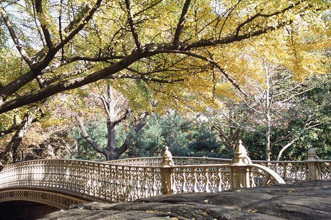 Official Central Park Walking Tour - Heckscher Ballfields: where active play has long roots