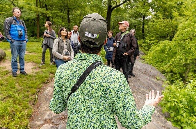 Official Central Park Walking Tour - Price and value: why $33 makes sense for a first visit