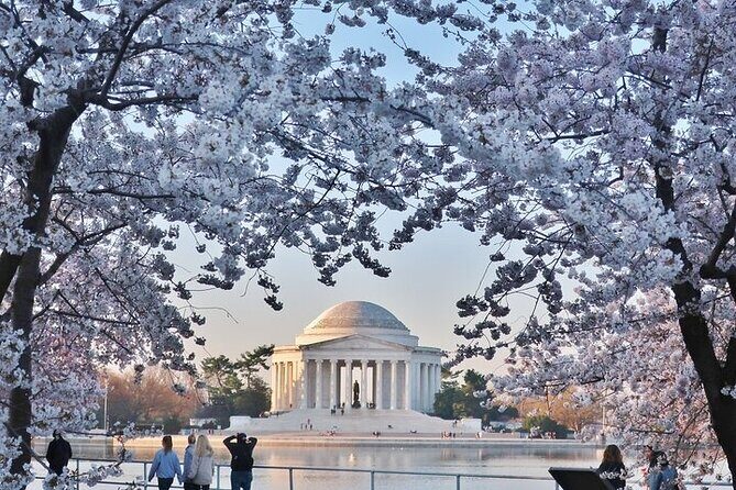 Private Full Day Washington DC Tour from New York City - A Long, Efficient DC Day From New York City