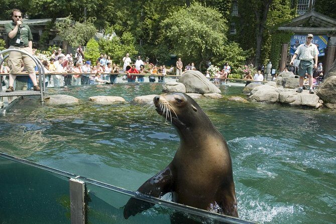 See 30 Top New York Sights (Walking Tour) & Visit Central Park Zoo. - Little Italy, Chinatown, and the 5 Points: City Corners With Stories