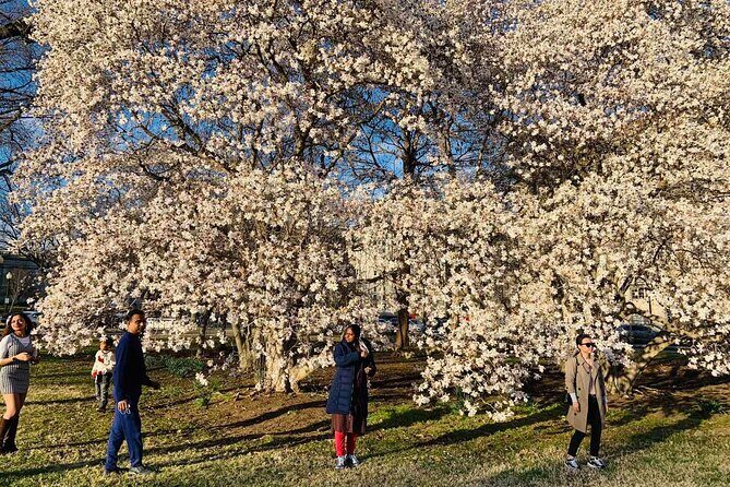 Washington D.C. Cherry Blossom,Baltimore 3-Day Tour from Boston - East Potomac Park and Hains Point Loop Trail: a scenic walk tied to the memorials