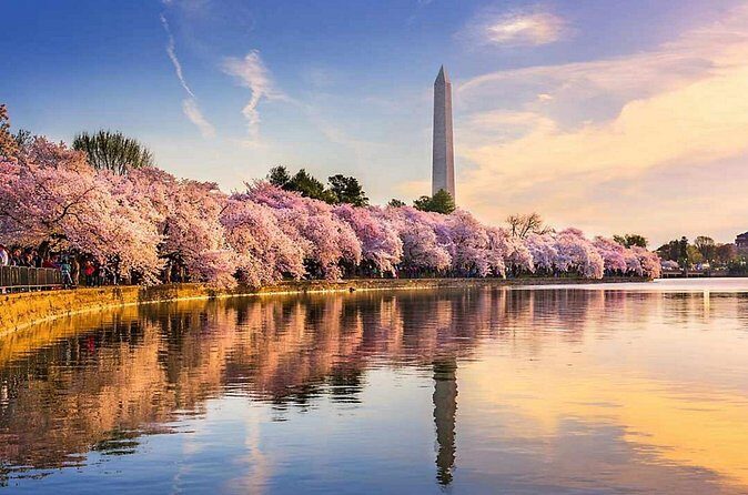Washington D.C. Cherry Blossom,Baltimore 3-Day Tour from Boston - Baltimore’s Inner Harbor: 60 minutes that focus on seaport life